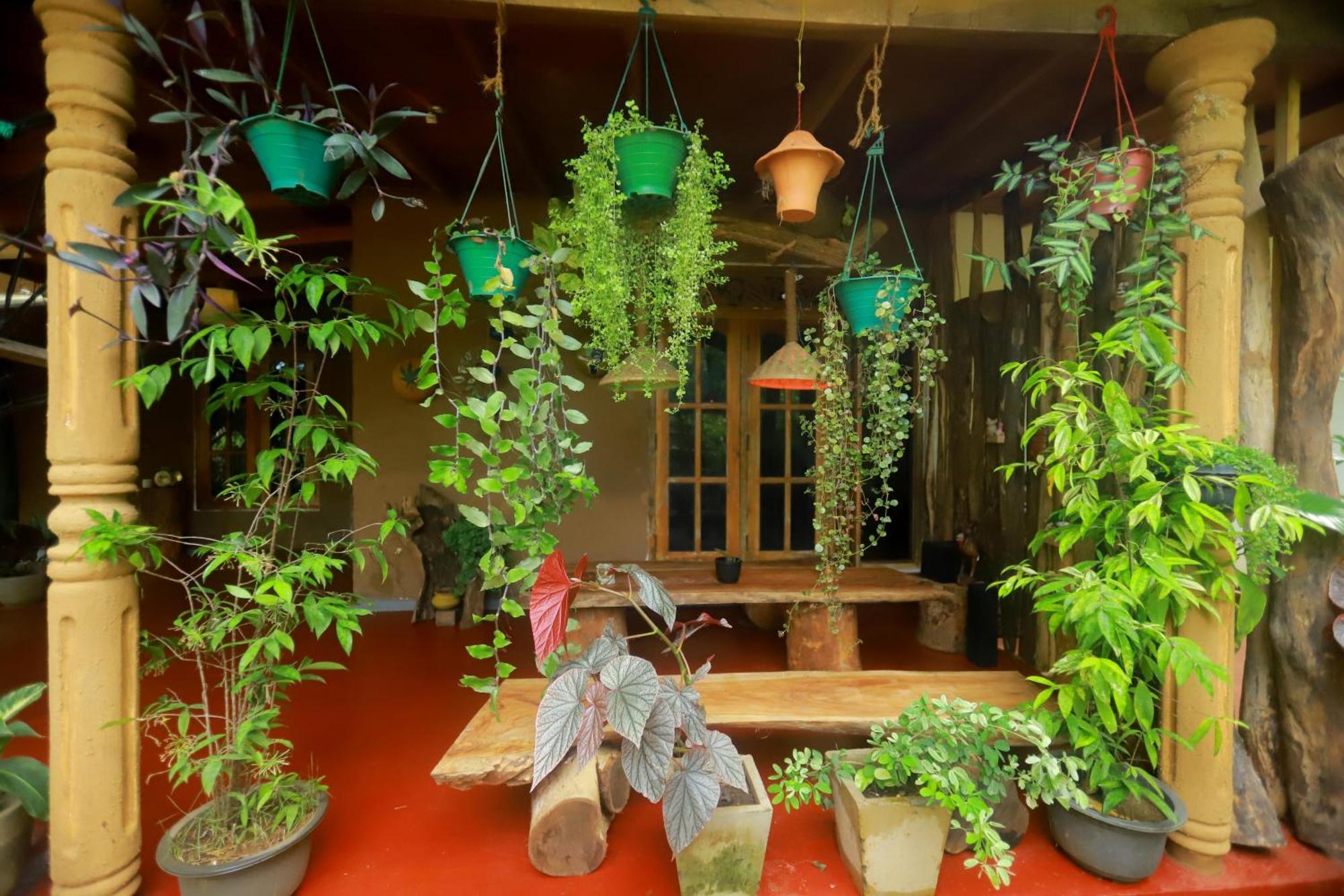Dinna Nature Hostel สิกิริยา ภายนอก รูปภาพ
